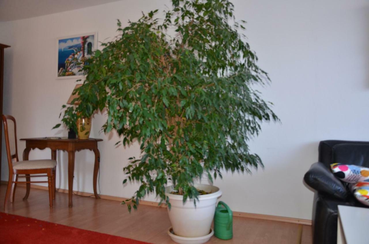 Ferienwohnung Pascale Mettlach Esterno foto